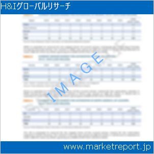 市場と産業調査レポートのイメージ